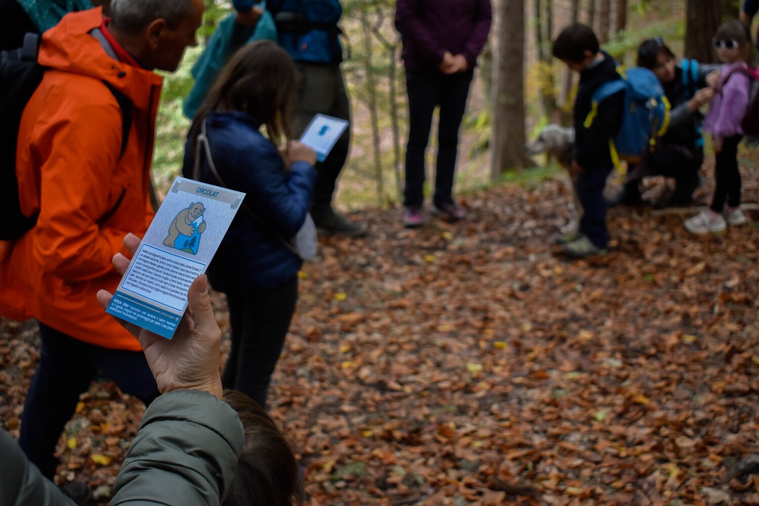 Passeggiate animate a Paluzza Persone che consultano una delle carte personaggio del kit gioco "Bosco nel Borgo" tra il fogliame di un bosco